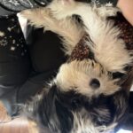 72046870625__A0E3D05A-1BF1-42B6-8369-6B55C1955424