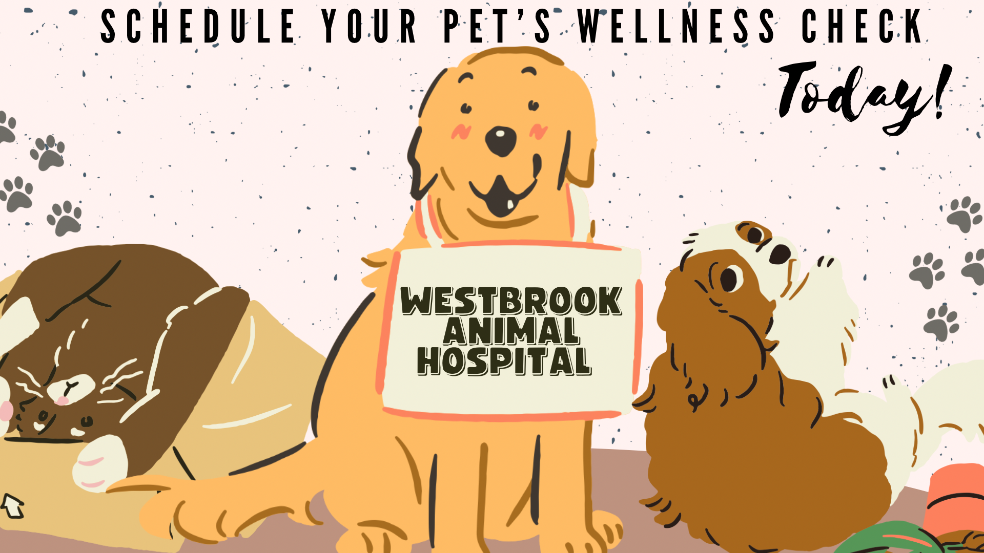 Pink and Cream Organic Illustrative Pet Adoption Advocacy Presentation - 7